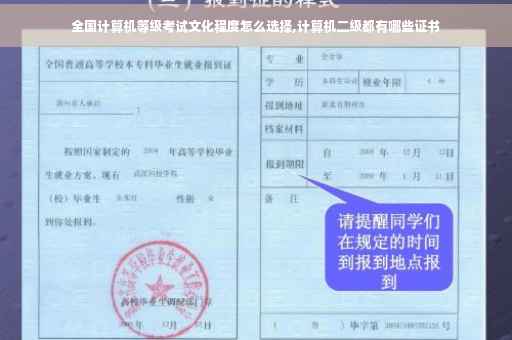 全国计算机等级考试文化程度怎么选择,计算机二级都有哪些证书