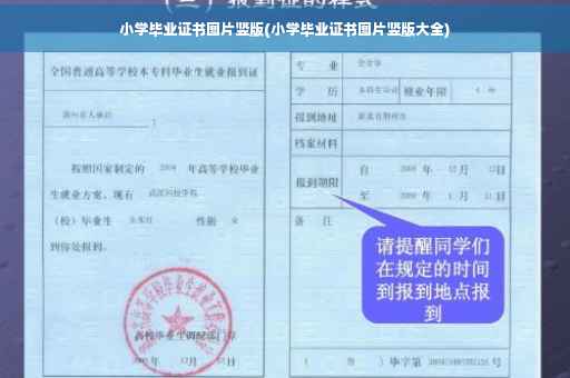 小学毕业证书图片竖版(小学毕业证书图片竖版大全)