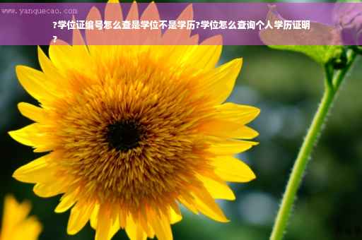 ?学位证编号怎么查是学位不是学历?学位怎么查询个人学历证明
?
