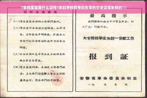 ?拿档案需要什么证件?本科学校招专科生拿的毕业证是怎样的⚡️