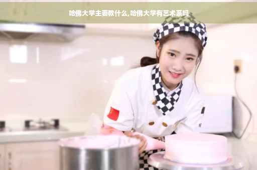 哈佛大学主要教什么,哈佛大学有艺术系吗