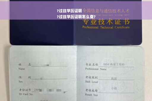 ?过往学历证明
?过往学历证明怎么查?