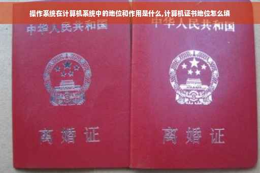 操作系统在计算机系统中的地位和作用是什么,计算机证书地位怎么填
