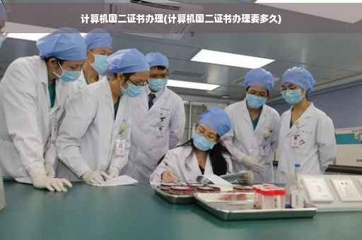 计算机国二证书办理(计算机国二证书办理要多久)