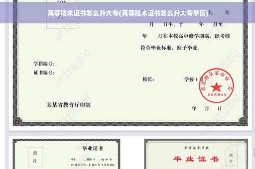 高等技术证书怎么升大专(高等技术证书怎么升大专学历)