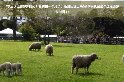 ?学历认证得多少时间？我的快一个月了，还没认证出来吗?学历认证整个过程要多长时间⚡️