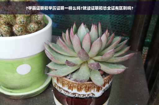 ?学籍证明和学历证明一样么吗?就读证明和毕业证有区别吗?