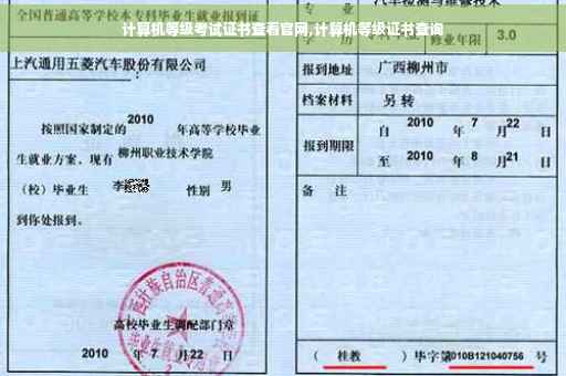 计算机等级考试证书查看官网,计算机等级证书查询