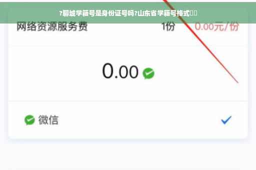 ?聊城学籍号是身份证号吗?山东省学籍号格式⚡️