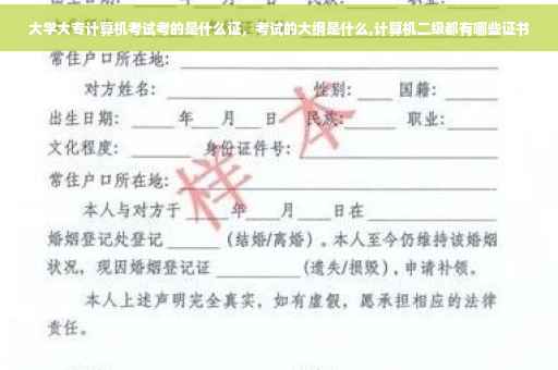 大学大专计算机考试考的是什么证，考试的大纲是什么,计算机二级都有哪些证书