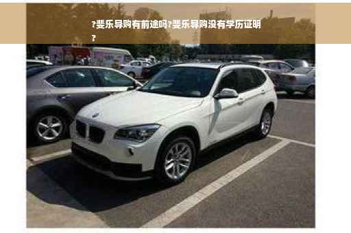 ?斐乐导购有前途吗?斐乐导购没有学历证明
?