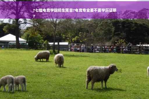 ?七煌电竞学院招生简章?电竞专业要不要学历证明
?