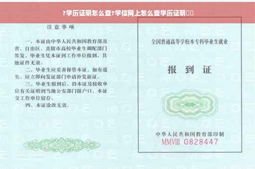 ?学历证明怎么查?学信网上怎么查学历证明⚡️