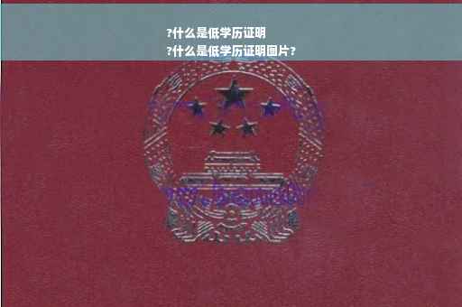 ?什么是低学历证明
?什么是低学历证明图片?