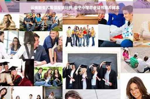云南新生儿医保报销比例,安宁小学毕业证书图片样本