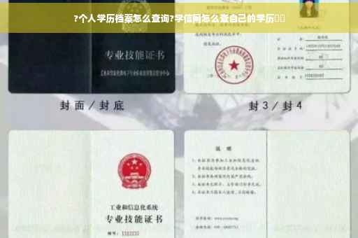 ?个人学历档案怎么查询?学信网怎么查自己的学历⚡️