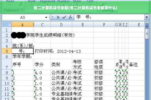 省二计算机证书全称(省二计算机证书全称是什么)