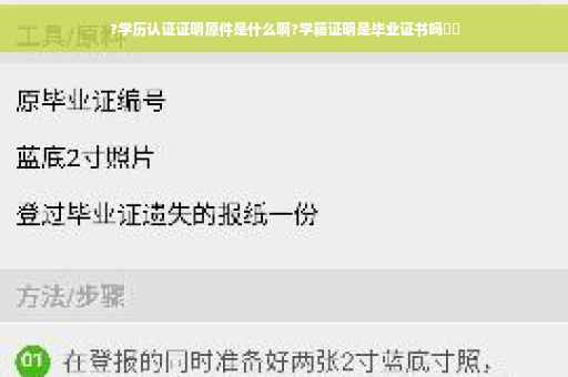 ?学历认证证明原件是什么啊?学籍证明是毕业证书吗⚡️