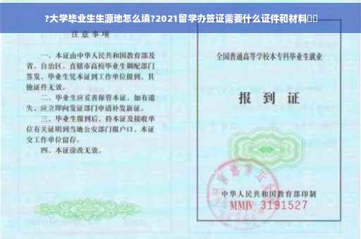 ?大学毕业生生源地怎么填?2021留学办签证需要什么证件和材料⚡️