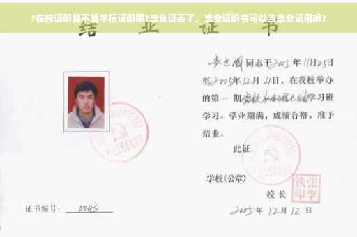 ?在校证明算不算学历证明呢?毕业证丢了，毕业证明书可以当毕业证用吗?