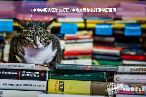 ?中专学历认证怎么打印?中专文凭怎么打印学历证明
?