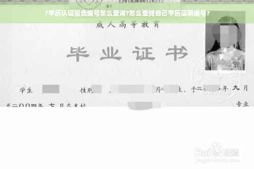 ?学历认证报告编号怎么查询?怎么查找自己学历证明编号?