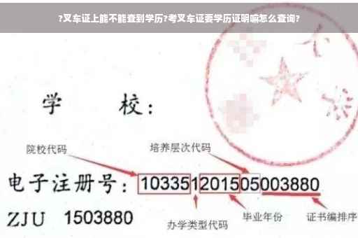 ?叉车证上能不能查到学历?考叉车证要学历证明嘛怎么查询?
