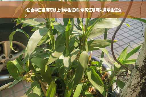 ?初会学历证明可以上传学生证吗?学历证明可以用学生证么
?