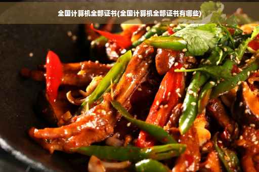 全国计算机全部证书(全国计算机全部证书有哪些)