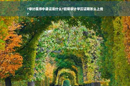 ?审计程序中函证是什么?初级审计学历证明怎么上传
?