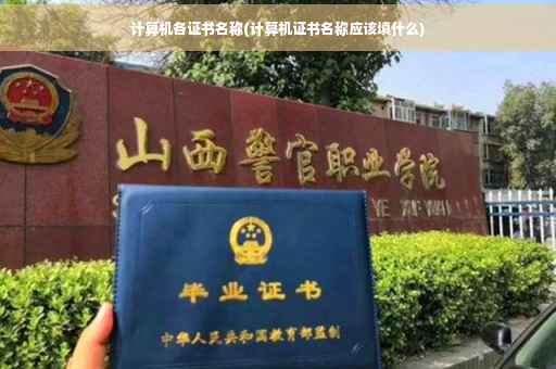 计算机各证书名称(计算机证书名称应该填什么)