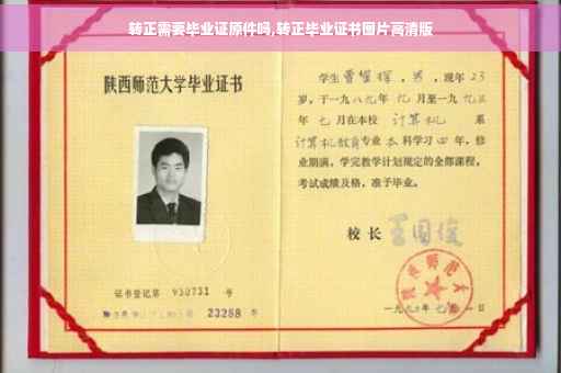 转正需要毕业证原件吗,转正毕业证书图片高清版