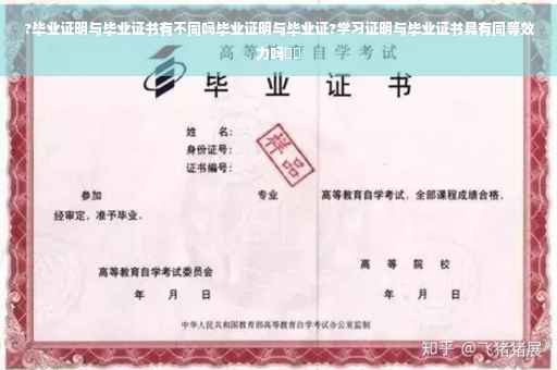 ?毕业证明与毕业证书有不同吗毕业证明与毕业证?学习证明与毕业证书具有同等效力吗⚡️
