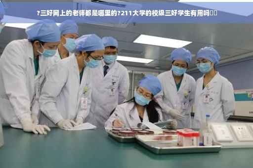 ?三好网上的老师都是哪里的?211大学的校级三好学生有用吗⚡️