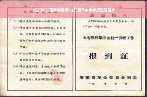 ?江门幼儿园有学籍吗?江门第八中学学历证明图片
?