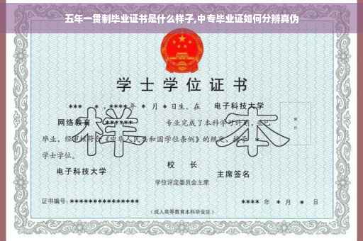五年一贯制毕业证书是什么样子,中专毕业证如何分辨真伪