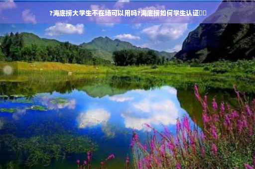?海底捞大学生不在场可以用吗?海底捞如何学生认证⚡️