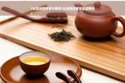 ?比亚迪等级晋升条件?比亚迪注重学历证明吗
?