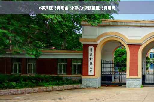 c字头证书有哪些-计算机c级技能证书有用吗
