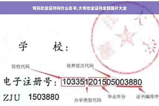 专科毕业证书叫什么名字,大专毕业证书全部图片大全