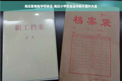 南庄紫南有学驾驶证-南庄小学毕业证书照片图片大全