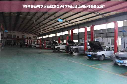 ?领初会证书学历证明怎么弄?学历认证证明原件是什么啊?