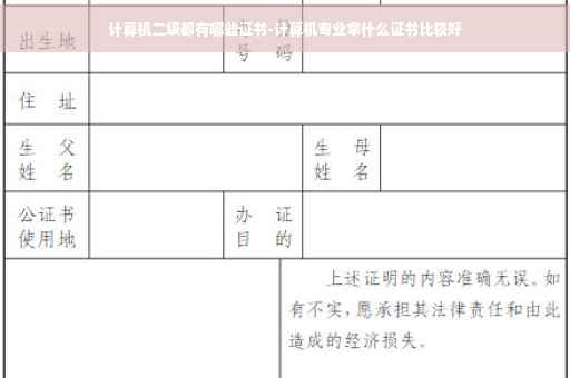 计算机二级都有哪些证书-计算机专业拿什么证书比较好