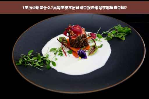 ?学历证明是什么?高等学校学历证明中报告编号在哪里查中国? ?学历证明是什么?高等学校学历证明中报告编号在哪里查中国?