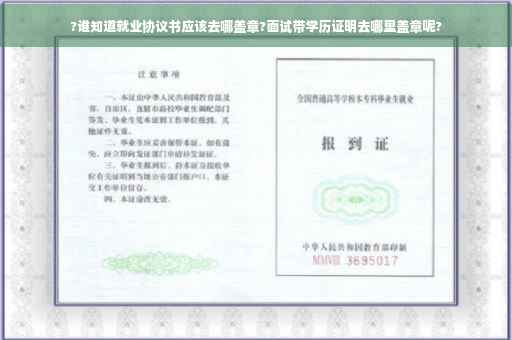 ?谁知道就业协议书应该去哪盖章?面试带学历证明去哪里盖章呢?
