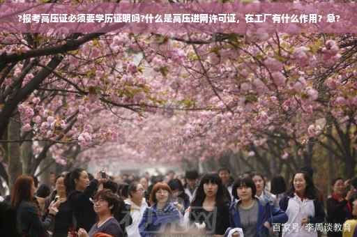 ?报考高压证必须要学历证明吗?什么是高压进网许可证，在工厂有什么作用？急?