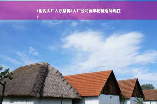 ?国内大厂入职条件?大厂公司要学历证明吗现在
?