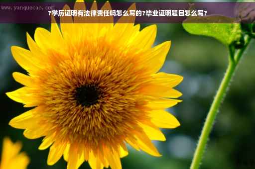 ?学历证明有法律责任吗怎么写的?毕业证明题目怎么写?