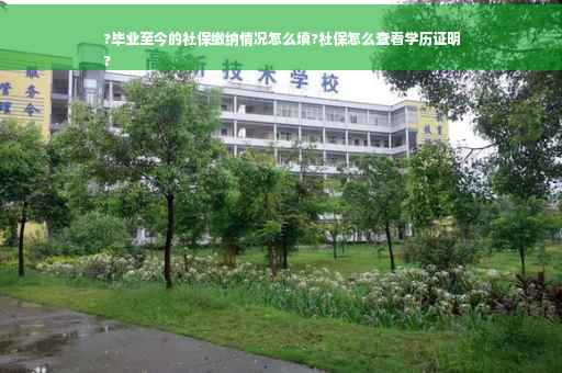 ?毕业至今的社保缴纳情况怎么填?社保怎么查看学历证明
?