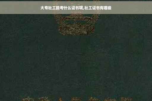 大专社工能考什么证书呢,社工证书有哪些